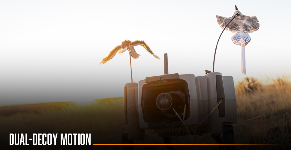 MFK Edition Foxpro X360 - Image 9